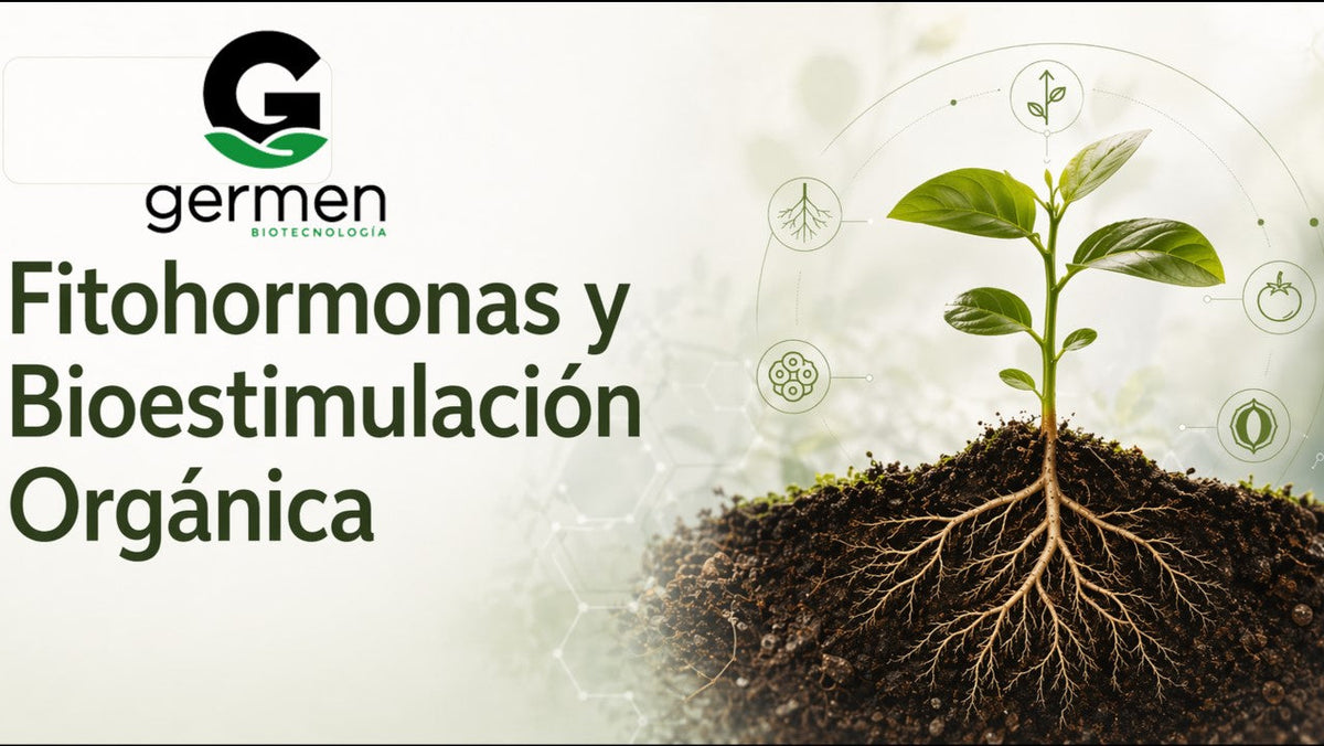 Fitohormonas y Bioestimulación Orgánica