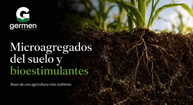 Microagregados del suelo y bioestimulantes como base de una agricultura más resiliente