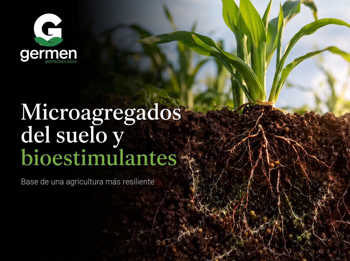 Microagregados del suelo y bioestimulantes como base de una agricultura más resiliente
