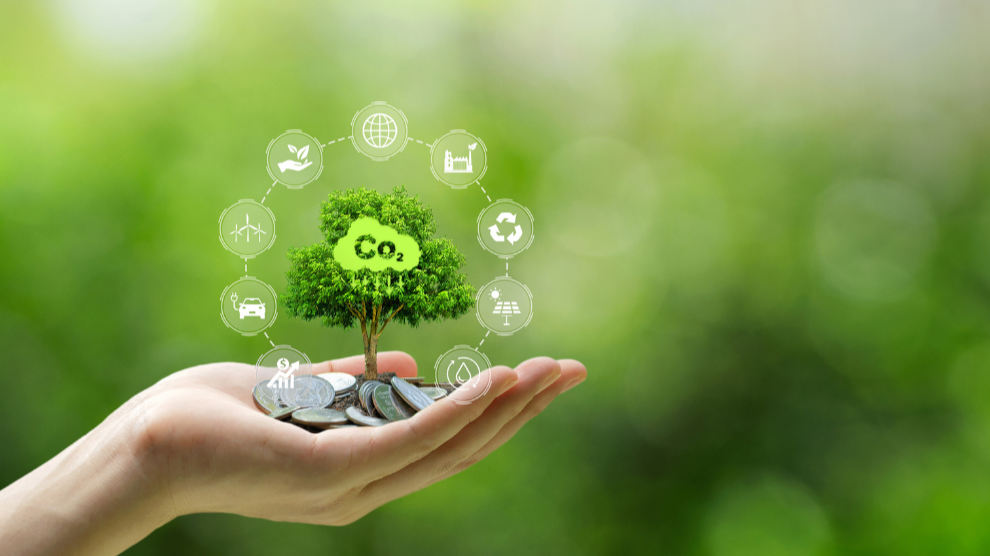 Innovación y Sostenibilidad: Calculadoras de Carbono en México
