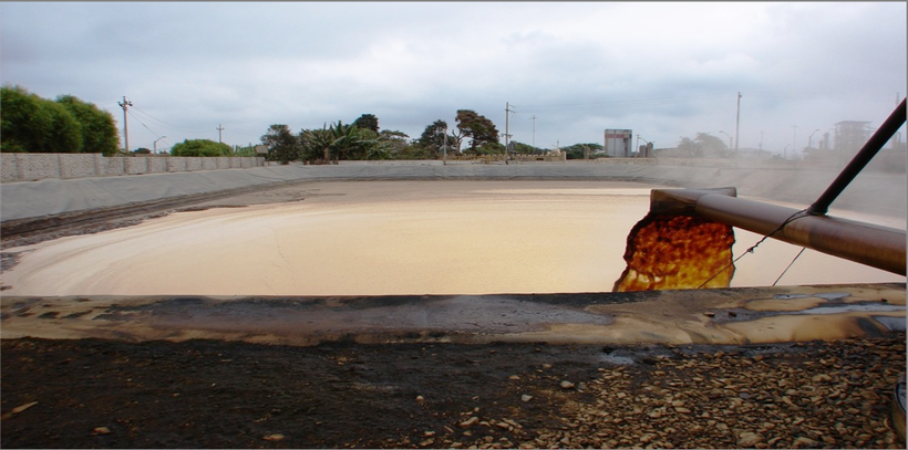 “Optimización Sostenible de Vinazas: Innovación en el Aprovechamiento, Tratamiento y Caracterización para un futuro Ecoamigable”