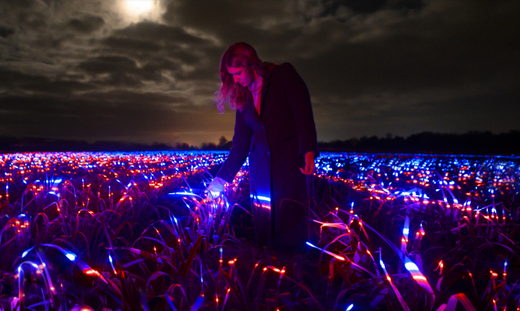 NUEVOS DESCUBRIMIENTOS Y AVANCES: FITOMELATONINA Y SU BENEFICIO PARA LAS PLANTAS.