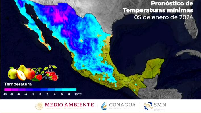Frutas en Crisis: El Desafío de las Horas Frío en México 2024