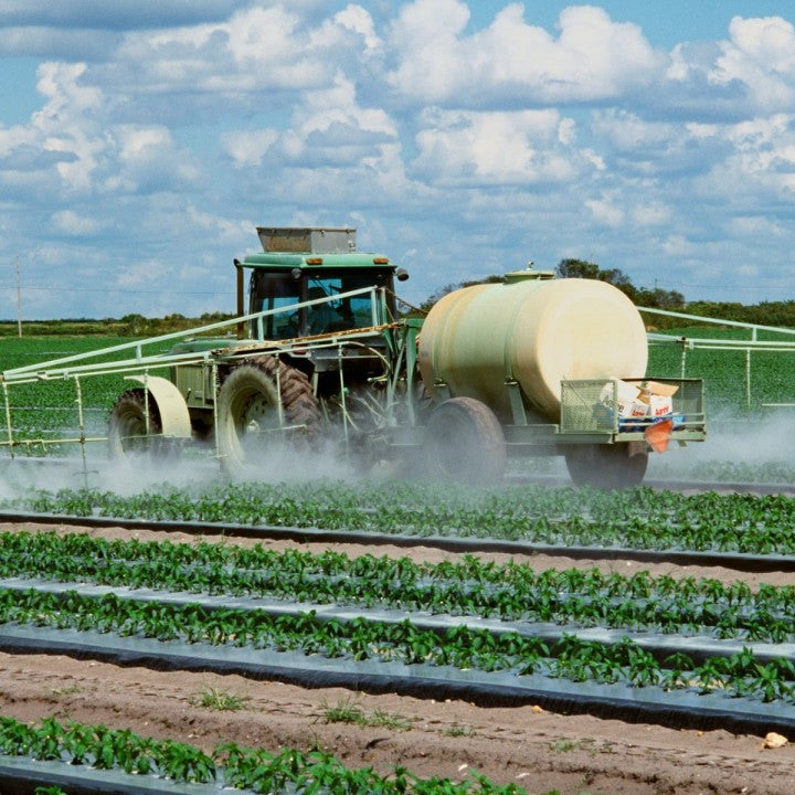 Efectos de los plaguicidas en la salud: Qué le hacen al cuerpo y por qué son peligrosos?
