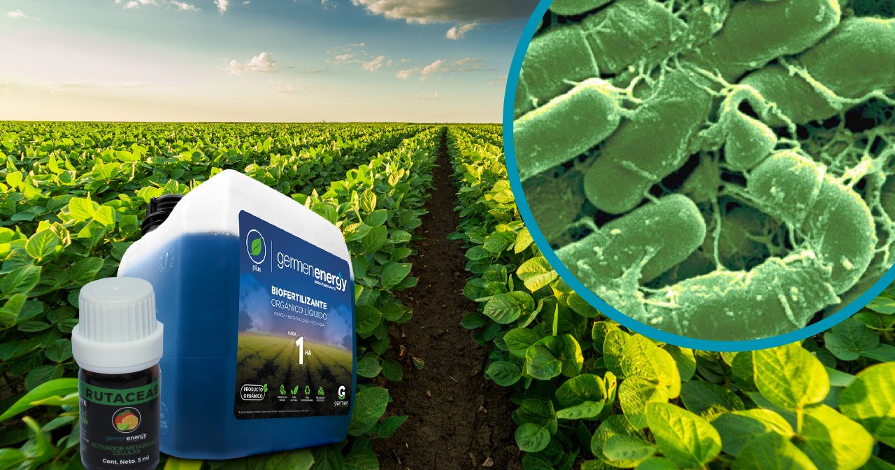 “Descubre el Poder Energético de Germen Energy: Bacillus y sus Lipopéptidos en el control biológico de enfermedades de las plantas”