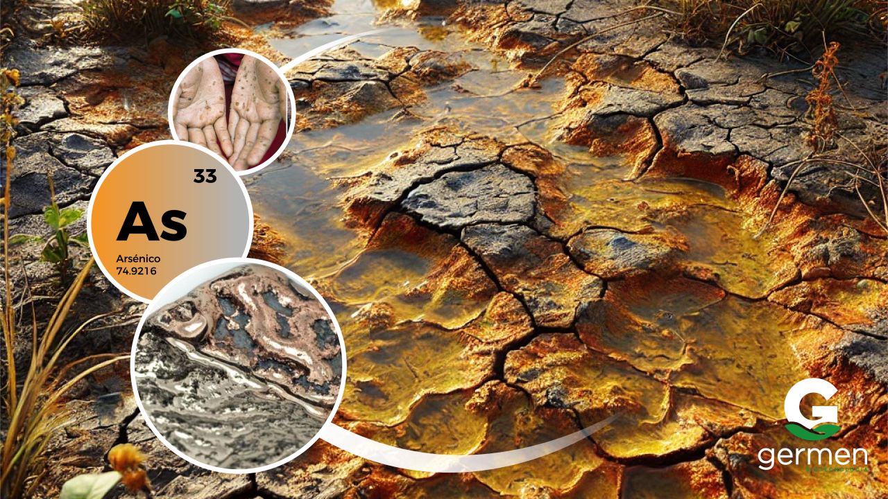 (As) Arsénico en suelo y agua