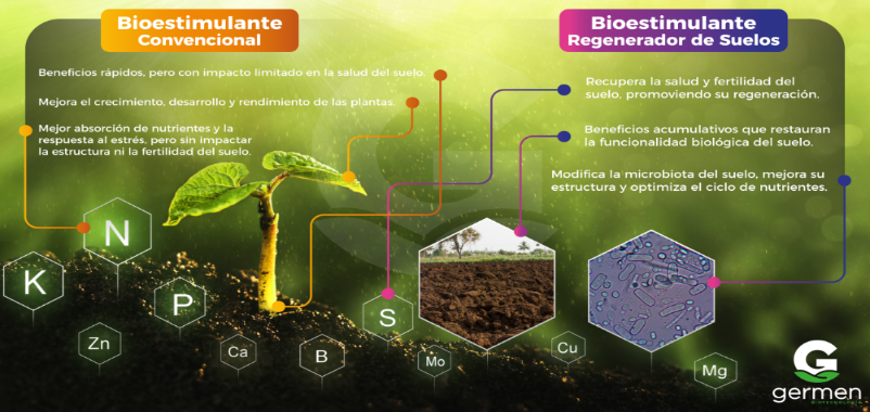 Bioestimulantes en México: ¿convencionales o regeneradores de suelo?