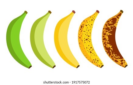 Bioestimulación con Etileno: multifacético