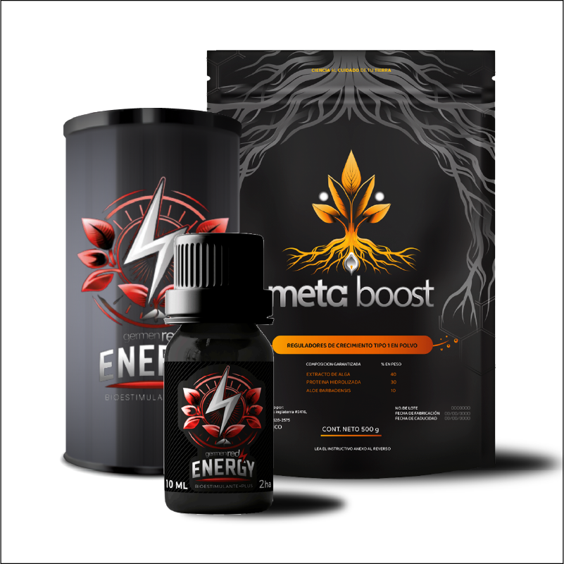 Red Energy + Meta Boost