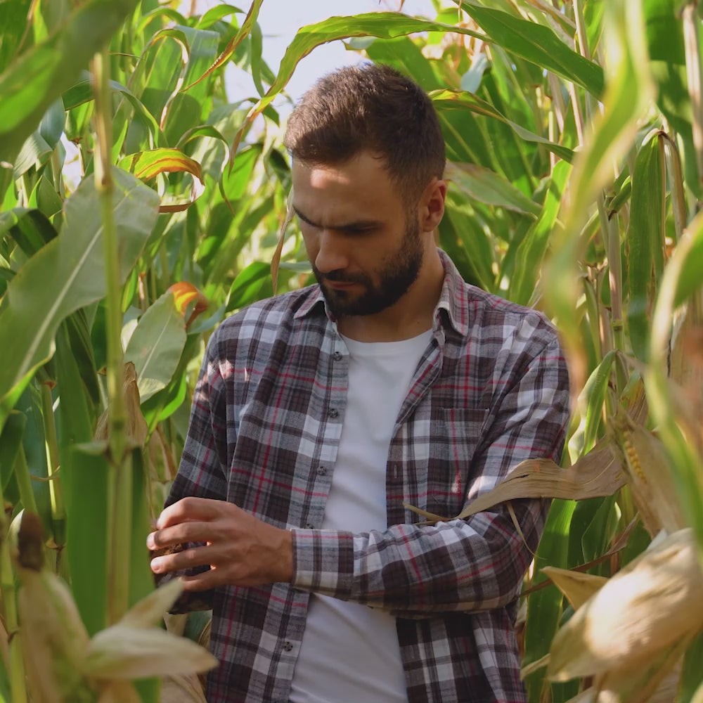 Cargar video: