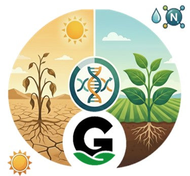¿Crecer o Sobrevivir? Proteína que Decide el Destino de las Plantas
