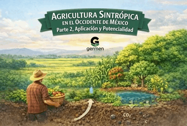 Agricultura Sintrópica como Estrategia Regenerativa para el Occidente de México (parte 2)